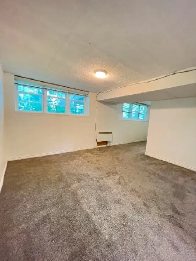 One bedroom basement unit in Allendale for rent Image# 1