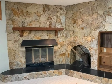 1 Bedroom Basement for Rent in Whitehorn Image# 10