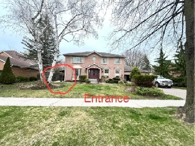 brand-new legal walk-out BSMT unit with 2 bedrooms and 1 bath Image# 6