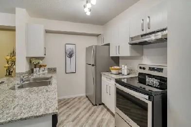 1 Bedroom apartment with  Den Image# 1