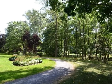 TOUT INCLUS, Grand 3 1/2 830p., Meublé à louer, 1650$, St-Lamber Image# 5