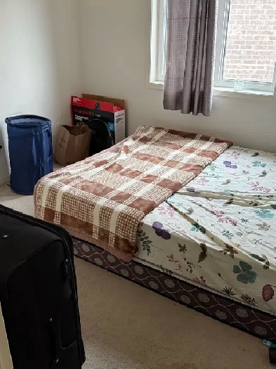 Single room available for rent