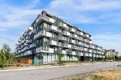 1br - New Senior Housing 1 Bedroom 1 Bathroom   Den - Starting F Image# 3