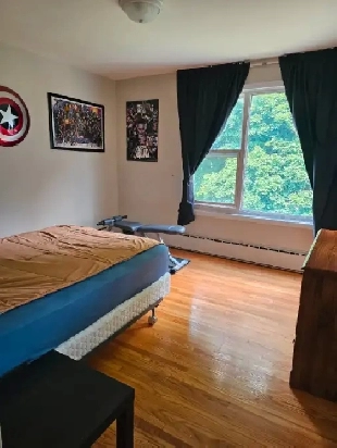 Bright & Shiny 1bdrm APT- SPACIOUS/SELF CONTAINED - Avail Sept 1 Image# 7