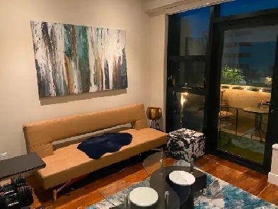 Furnished Luxury Downtown Urban Oasis   Wifi/Electricity Image# 4