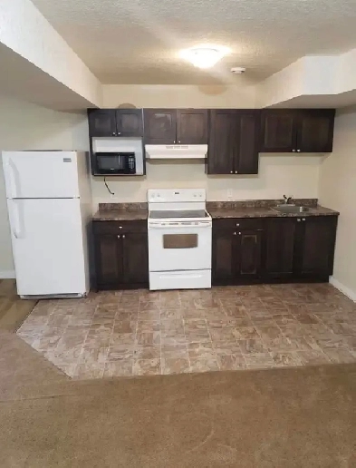 Basement for Rent in Skyviiew Image# 2