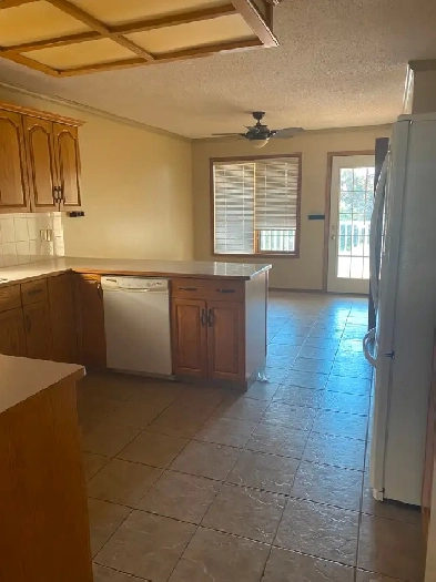 Spacious 2 Bedroom House for Rent Image# 4