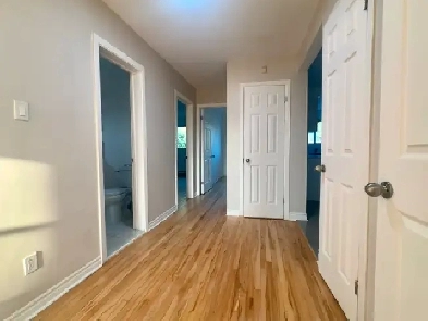 Renovated 3 bedrooms in Lasalle for Rent Image# 9