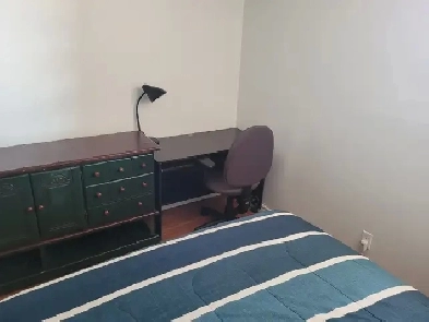 Private Room for Rent in Premium Downtown Apartment Image# 4