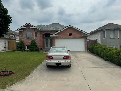 1 Private room for rent Image# 1