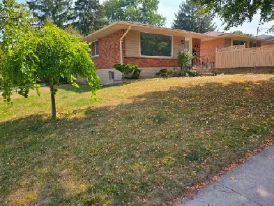 Newly renovated Main floor 3-Bdr side yd 2 Parkg –Forest Hill Image# 4