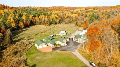 POSSIBILITÉ D’AVOIR VOS CHEVAUX SUR VOTRE TERRAIN !! Image# 1