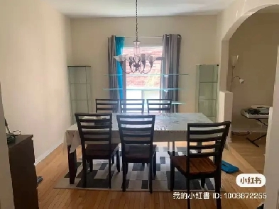house for rent Image# 11