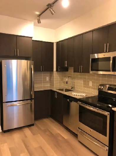 One bedroom condo apartment for rent Image# 1