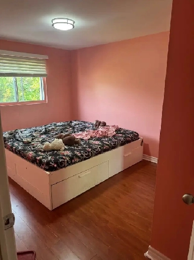 room for rent Image# 1