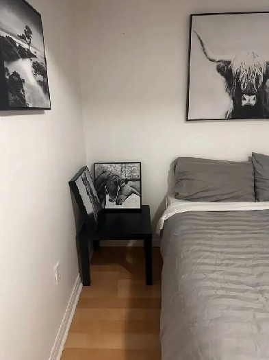 All-Inclusive Room for Rent - Great Location! $850/month Image# 1