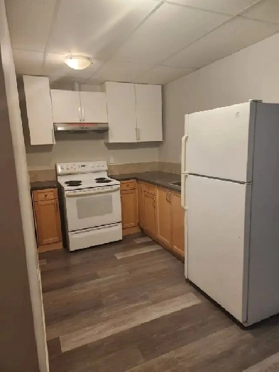 Basement for rent Image# 5