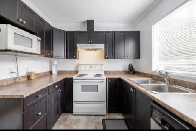 Basement Suite - Cloverdale Surrey Image# 4