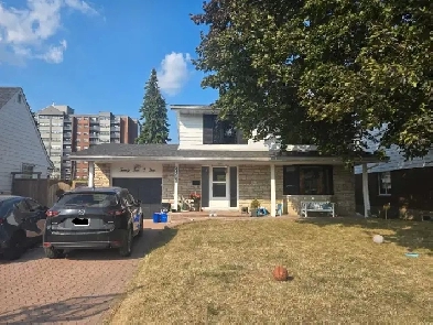 4 bedroom in Hawthorne Meadows Image# 4