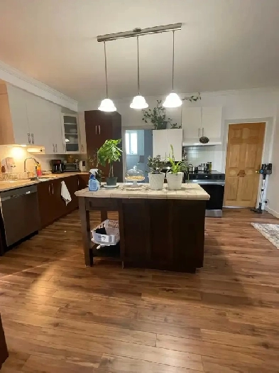 house for rent Image# 3