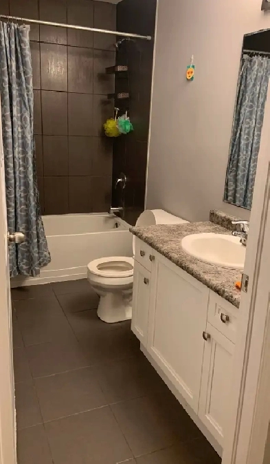 ROOM FOR RENT KITCHENER Image# 3