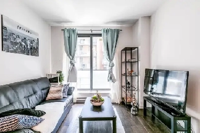2B1B Condo near Guy Concordia Metro Station Image# 4