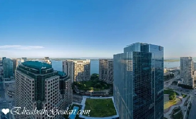 88 HARBOUR STREET - HARBOUR PLAZA - 1 BEDROOM W/LAKEVIEWS (VIDEO Image# 9
