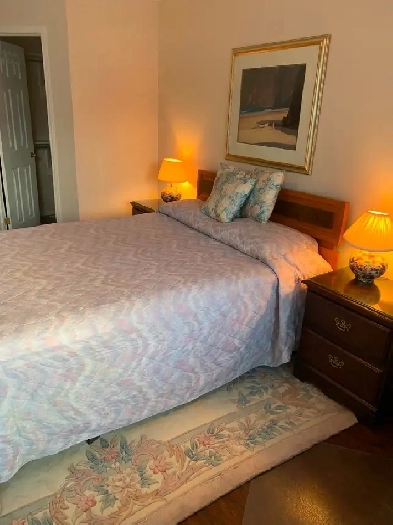 Furnished room with fireplace and private bathroom Image# 4