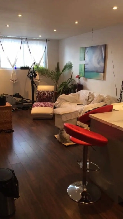 3 1/2 Rosemont – Style Condo –  Access a la Cour Image# 2