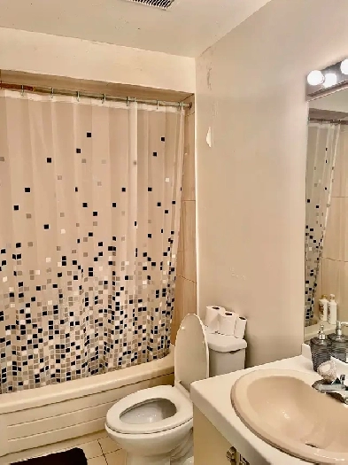 Furnished Basement room for rent close to Finch station Image# 9