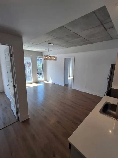Recherche de colocataire appartement Montréal Image# 12