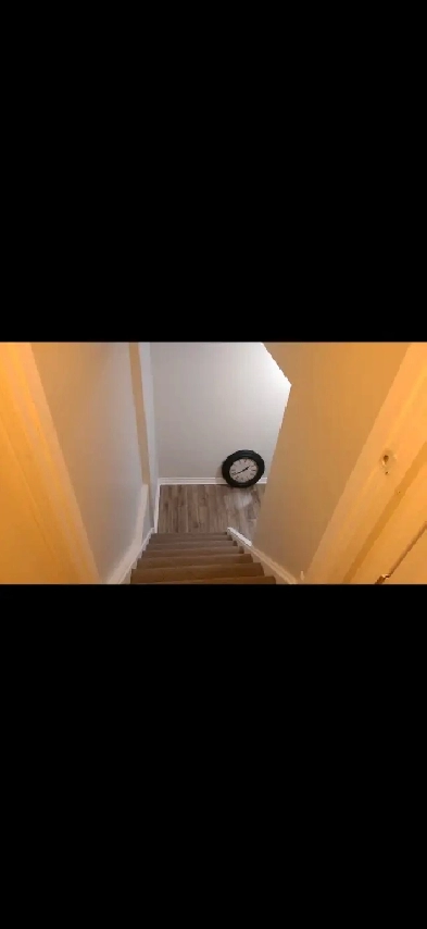 Basement Apartment for Rent Image# 1