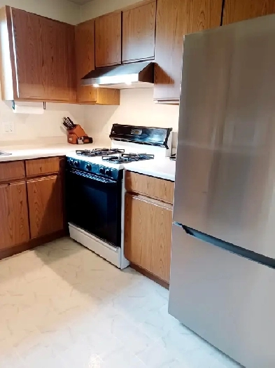 4 Bedroom 2 bath house for rent Sept 1st Image# 4