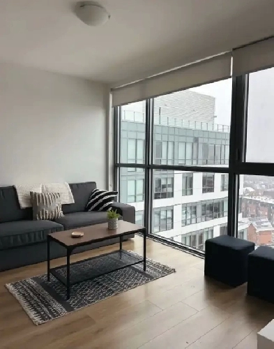 One bedroom for takeover (first month negotiable)) Image# 3