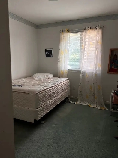 Room for student near Trent Image# 2