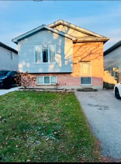 House for rent Image# 10