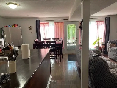 Georgetown walk-out basement for rent Image# 1