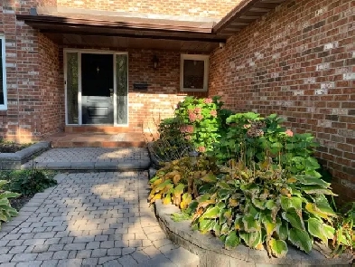 Room for rent to UTM FEMALE student Image# 1