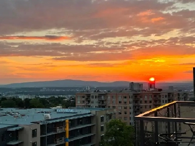 Appartement Louer 31/2, QuartierQB, Ste-Foy,unité de coin, 11ème Image# 6