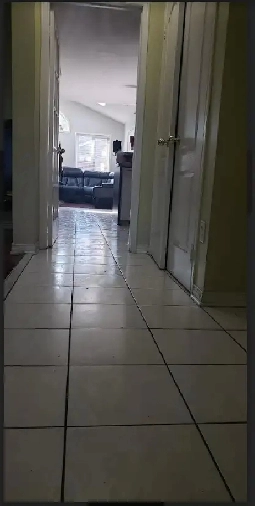 4 Rooms  in a 4 BR Detached House in Brampton  in Sep 25 Image# 1