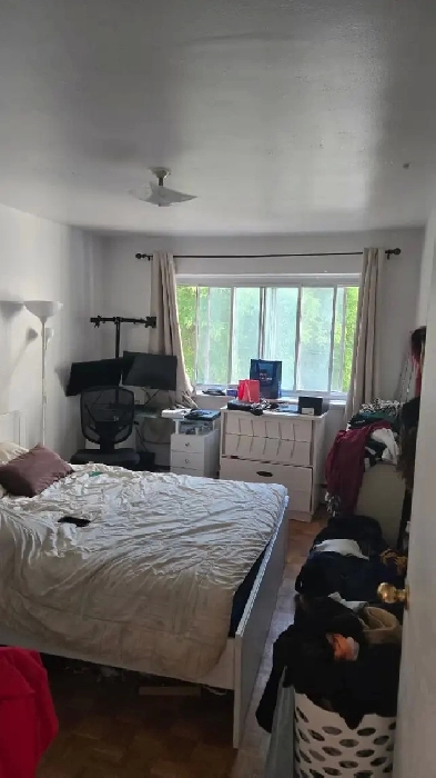 Appartement a Louer Image# 2