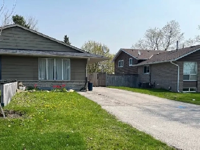 Basement for Lease Only $1800   Utilities Image# 1