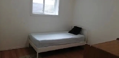 Roommate - Close to LRT MktMall UC NorthlandMall Brentwood Mall Image# 1