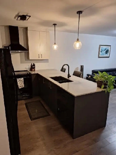 Condo 4 1/2 Image# 1