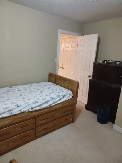 room across sheridan college for rent clean female perfered Image# 1