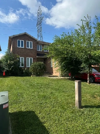 Room for Rent Brampton - Female only Steeles and Mclaughlin Image# 1