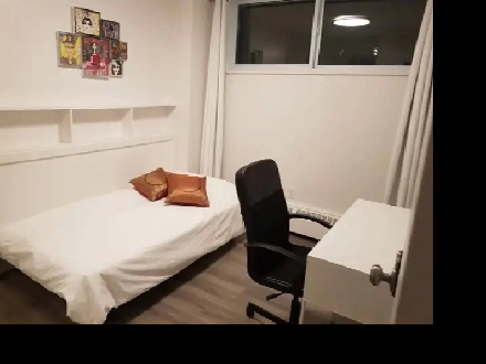Sept 1 - Nice furnished room in 3 bdrm condo at York U & subway Image# 4
