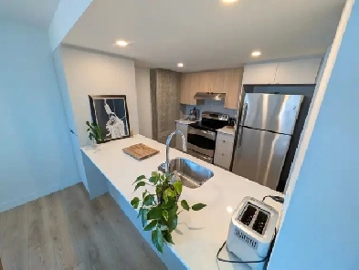 Appartement 3 1/2 à louer à Ste-Foy (Québec) Image# 1