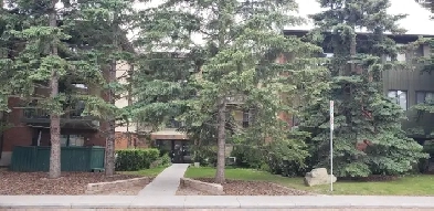 2 Bedroom - Killarney SW Image# 5