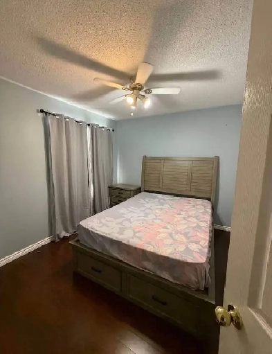 Room available for rent in sharing or private Image# 1